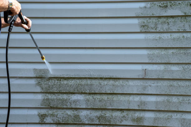 Affordable Siding Repair and Maintenance Services in Orting, WA